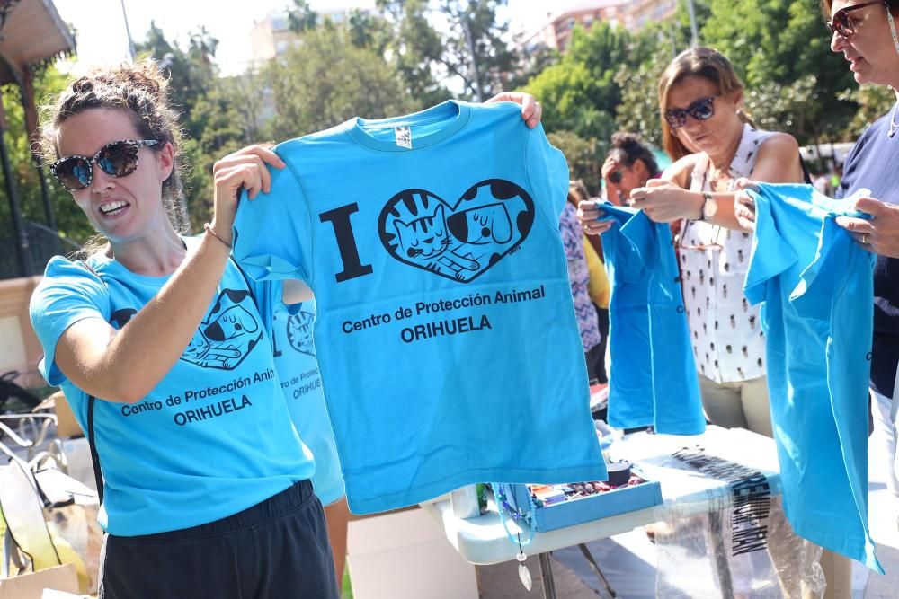 Jornada contra el maltrato animal en Orihuela