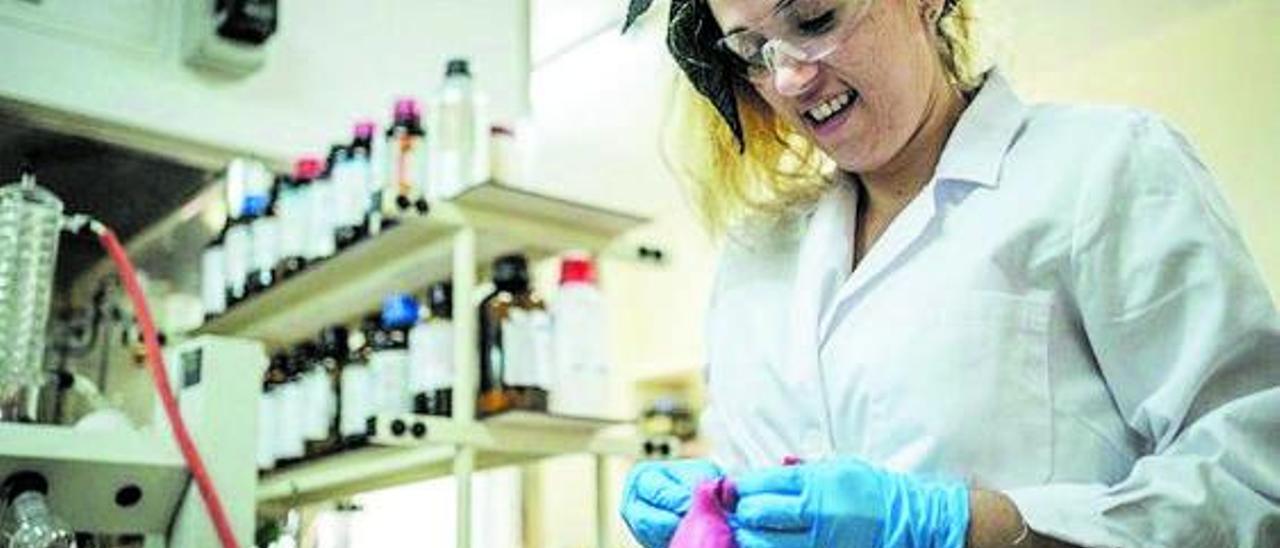 Una investigadora del IPNA se prepara para hacer un experimento. | | ANDRÉS GUTIÉRREZ