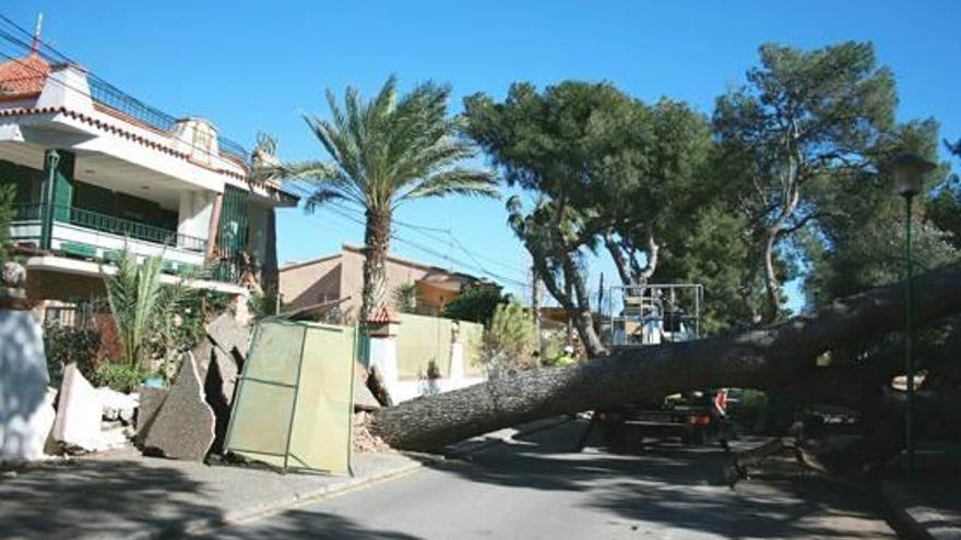 Reparan los daños de Santa Quitèria