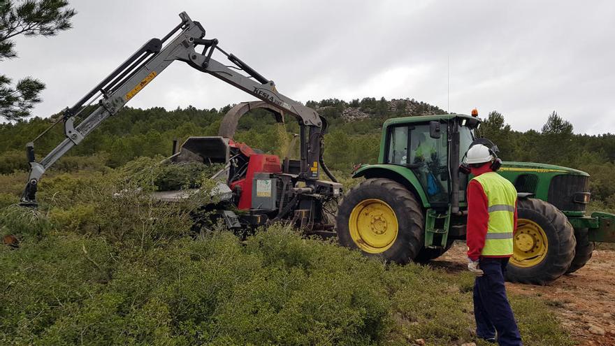 Bocairent executa les faixes de seguretat del Pla local de prevenció d&#039;incendis forestals