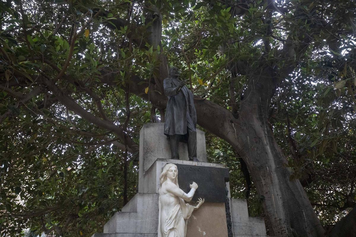 La estatua a Antonio Maura se separará del ficus para darle realce.