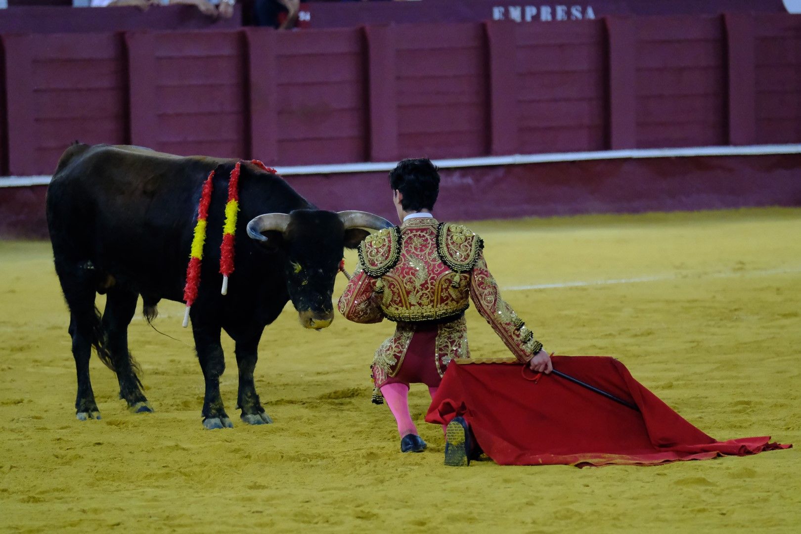 XVI Certamen Internacional de Escuelas Taurinas La Malagueta