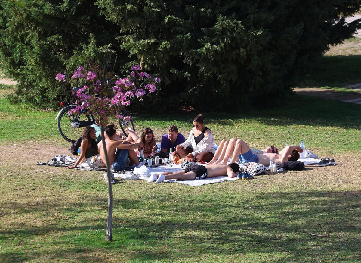 Valencia . semana de altas temperaturas en Valencia calor en el mes de Abril . Gente tomando el sol en el parque del rio. PRIMAVERA . CALOR  . AMBIENTE FESTIVO EN EL JARDÍN DEL TURIA