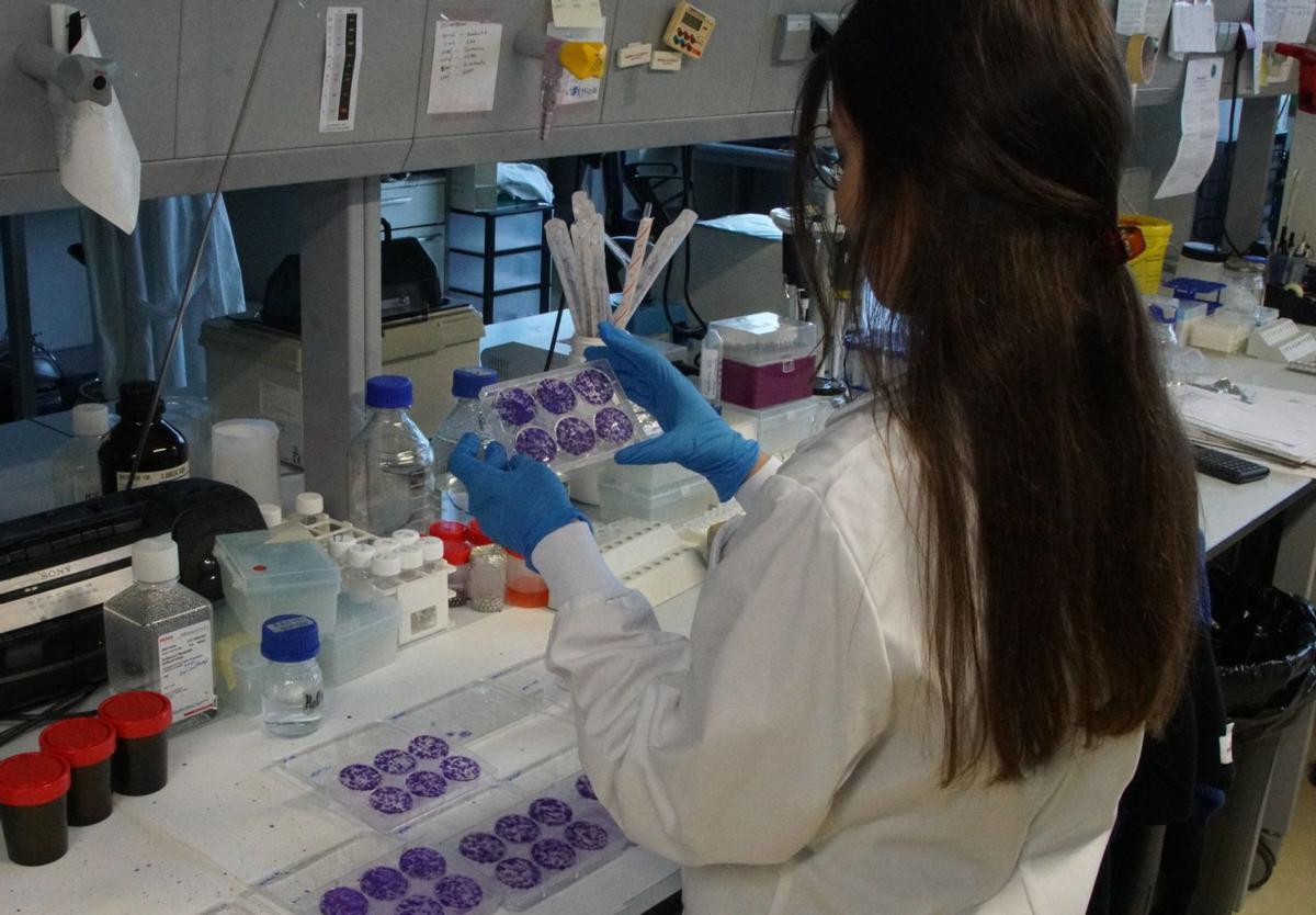 Sandra, estudante predoutoral pendente das axudas da Xunta, no laboratorio do grupo de Investigación Biomédica do CiMUS / jesús prieto