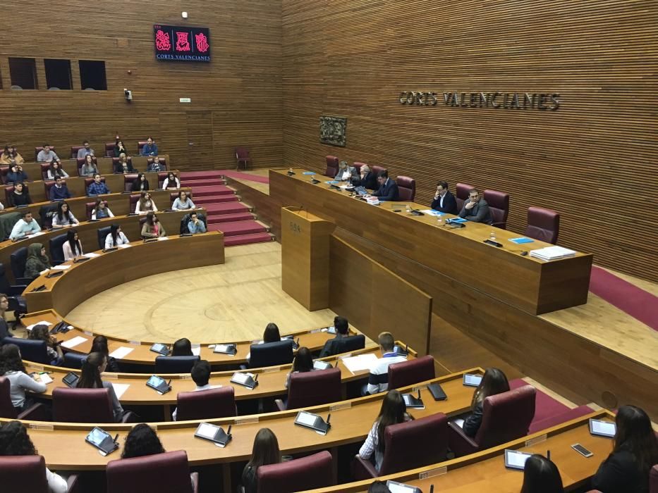 Alumnos de IES de la provincia en Las Cortes