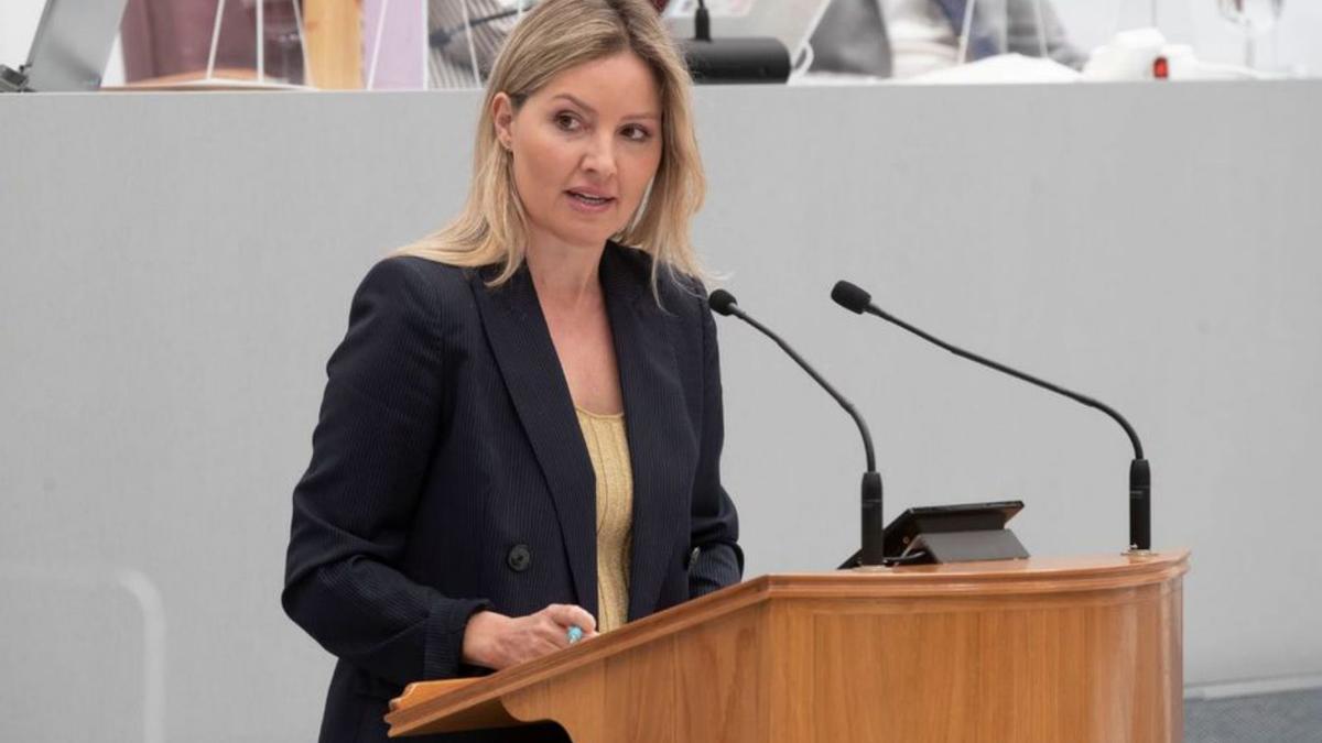 La diputada de Cs Ana Martínez Vidal ha destacado la «dejación de
funciones durante años» del Gobierno en el pleno de la Asamblea.