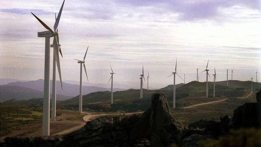 Parque de generación eólica en Galicia. // Bernabé