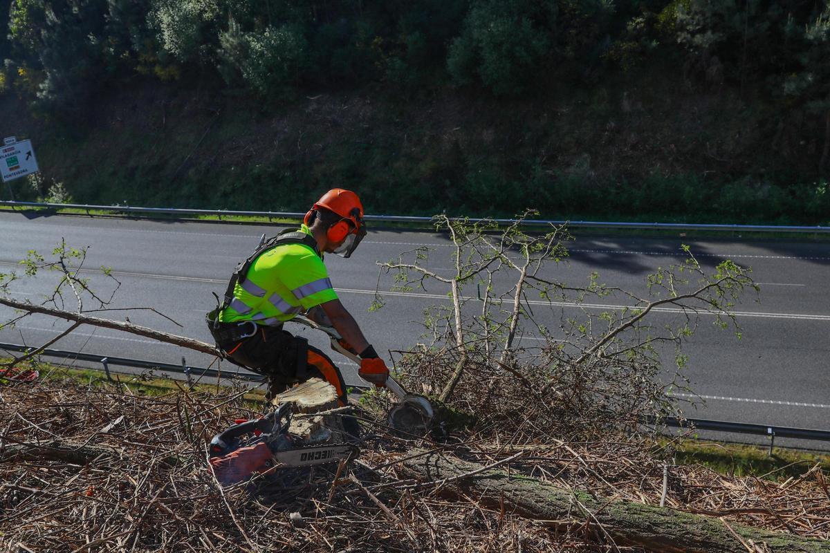 Operarios sujetos con arneses para proceder al desbrozado de los márgenes de la vía