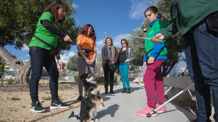 Terapia con perros para mejorar el aprendizaje de los escolares de l&#039;Alfàs del Pi