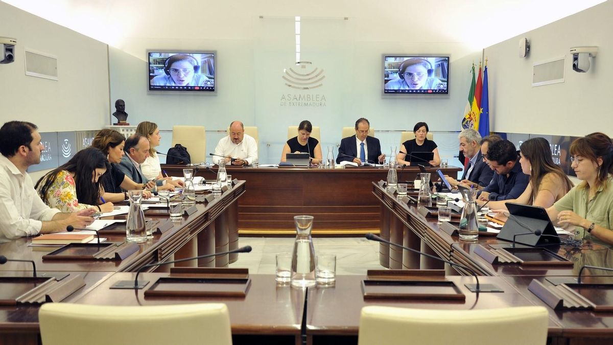 Comisión de Cultura, Turismo, Jóvenes y Deportes de la Asamblea de Extremadura.