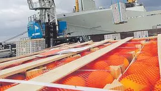Egipto ya concentra la mitad de la naranja que llega a Europa y enciende las alertas de los citricultores de Castellón