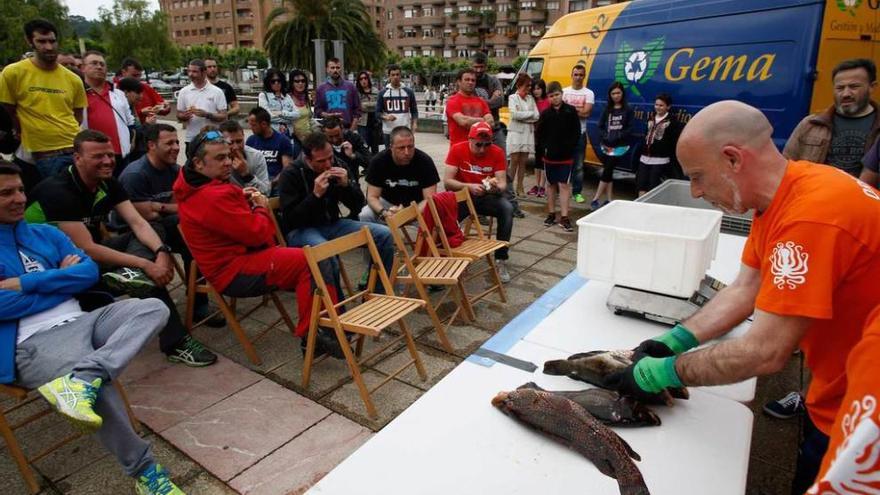 Antonio Alba, del GEAS, pesando el pescado en Piedras Blancas.