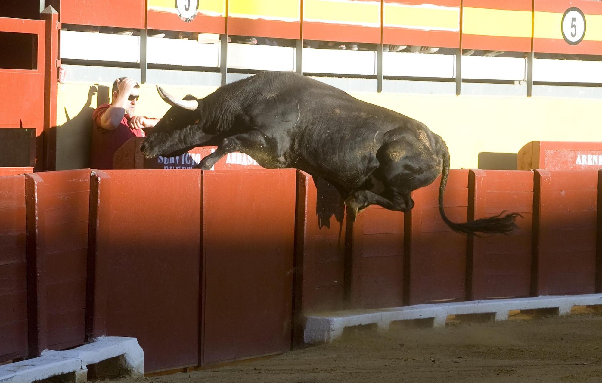 La plaza de toros de Xàtiva, en imágenes