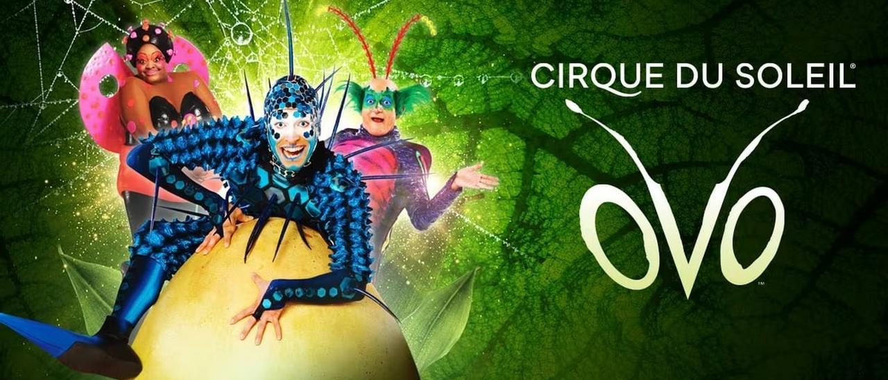 Imagen del cartel anunciador del espectáculo 'Ovo' del Circo del Sol.