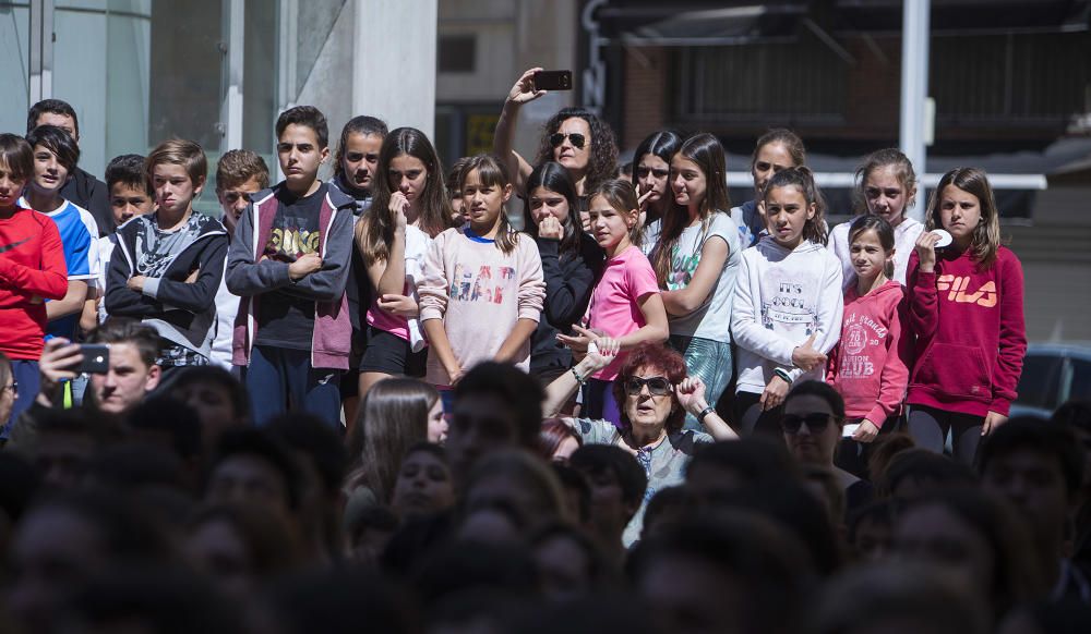 Carme Ripollés