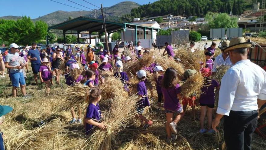 El trigo hace escuela en Llíber y Alcalalí