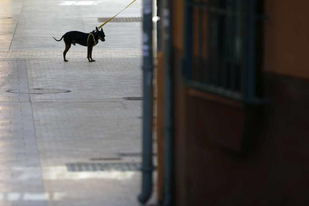 Miércoles, 29 de abril | El Centro ya vislumbra la primera fase de la desescalada