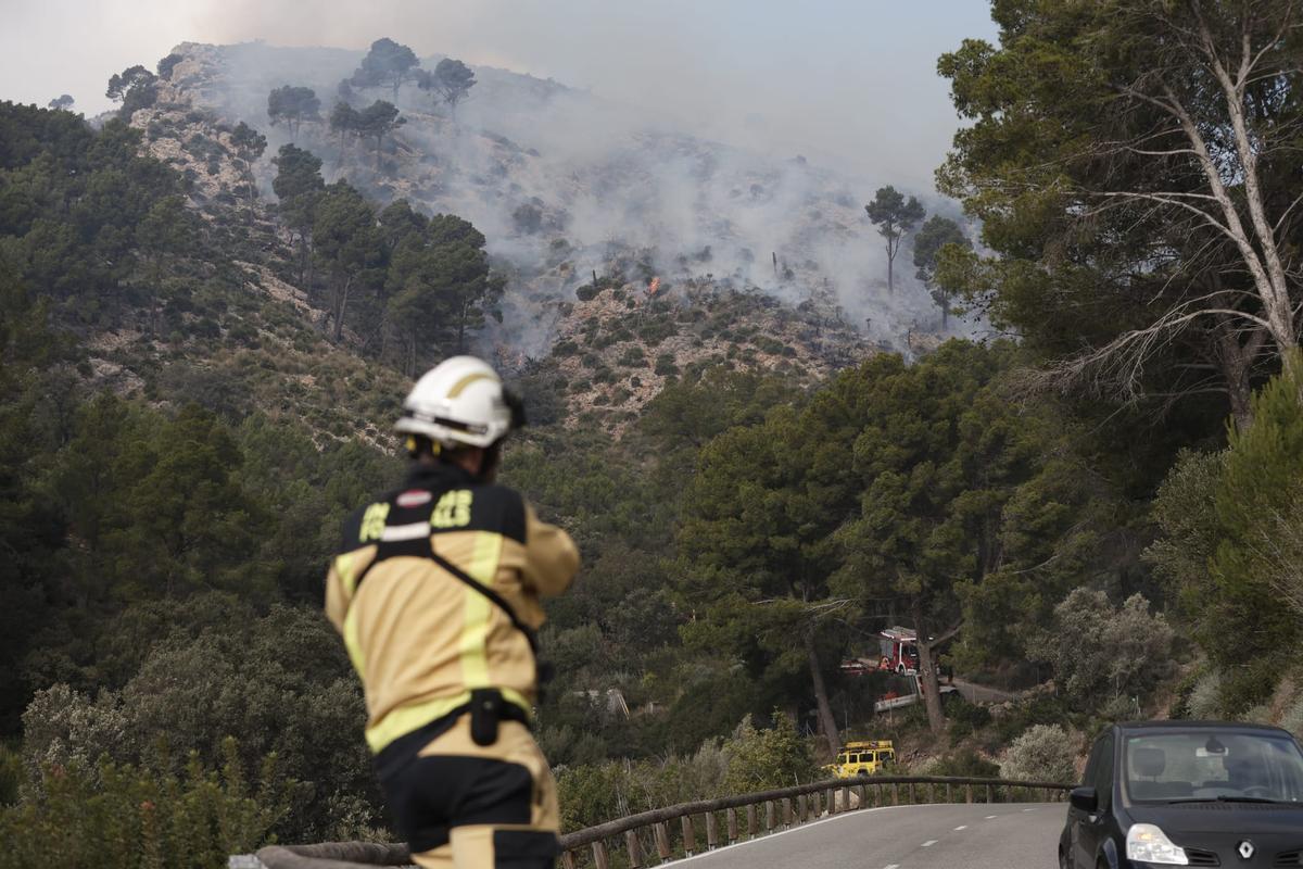 Imagen de archivo: Incendio forestal en Andratx.
