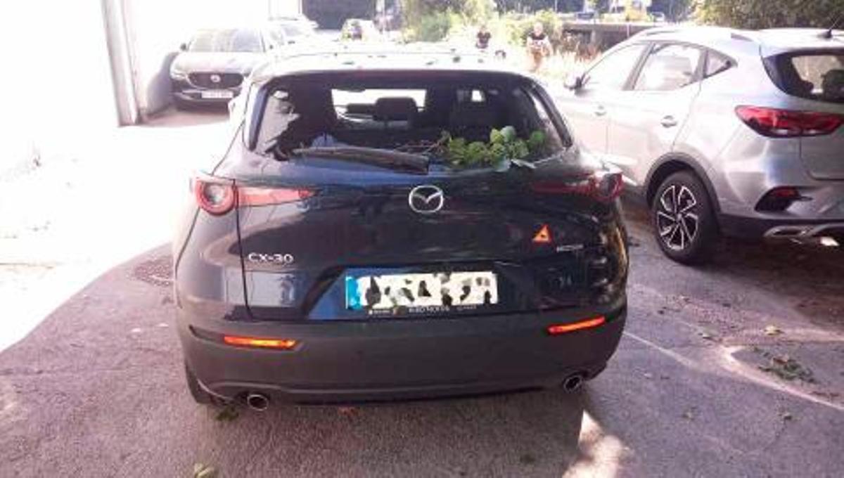Un árbol se desploma en Vigo y daña tres coches de un concesionario