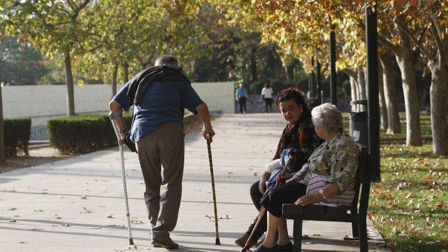 El PSOE urge un pacto para proteger la ley de dependencia