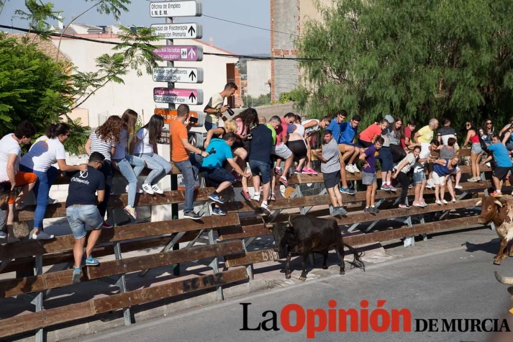 Cuarto encierro Fiestas de Moratalla