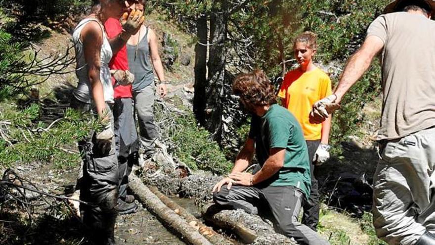 Un grup de voluntaris al bosc on estan recuperant el canal de rec