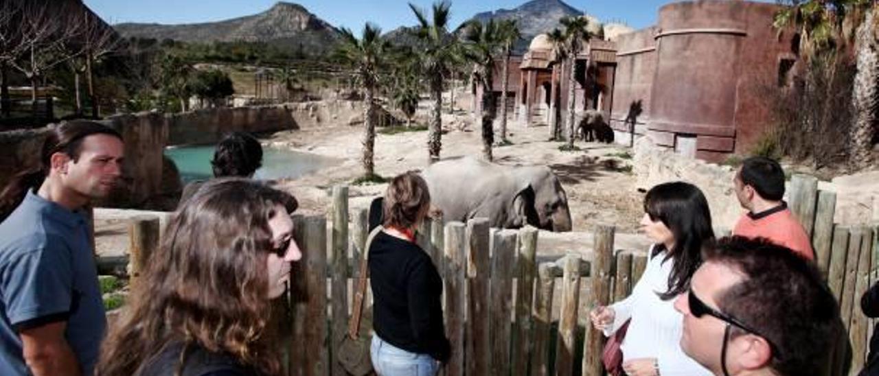 Vista de una de las áreas del parque zoológico Terra Natura, cuya propiedad ha hecho valer su derecho preferente para adquirir el suelo.