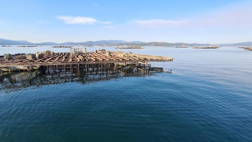 Bateas en la ría de Arousa.