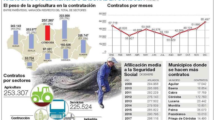 El 46% de los contratos se hace en el campo y solo el 6% en la industria