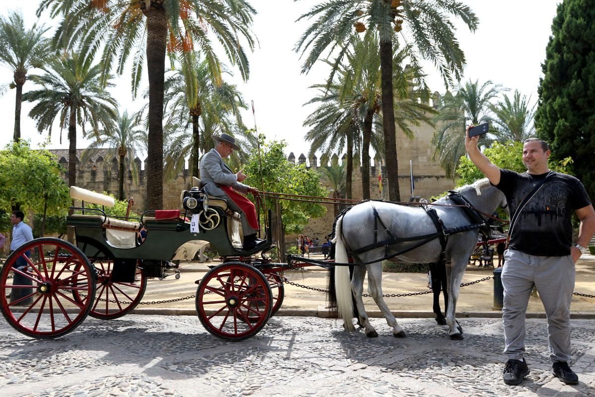 4º Concurso Internacional de Atalaje de Tradición en Cabalcor 2018