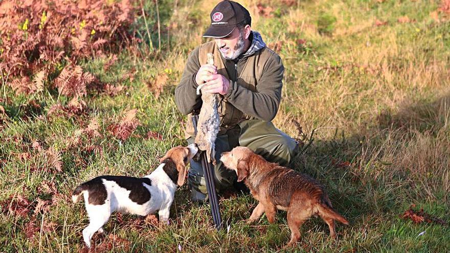 Un cazador recoge una pieza con sus dos perros en Monte Carrio, Lalín. 