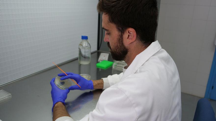 El investigador del Departamento de Botánica y Fisiología Vegetal de la Universidad de Málaga Ignacio J. Melero-Jiménez.