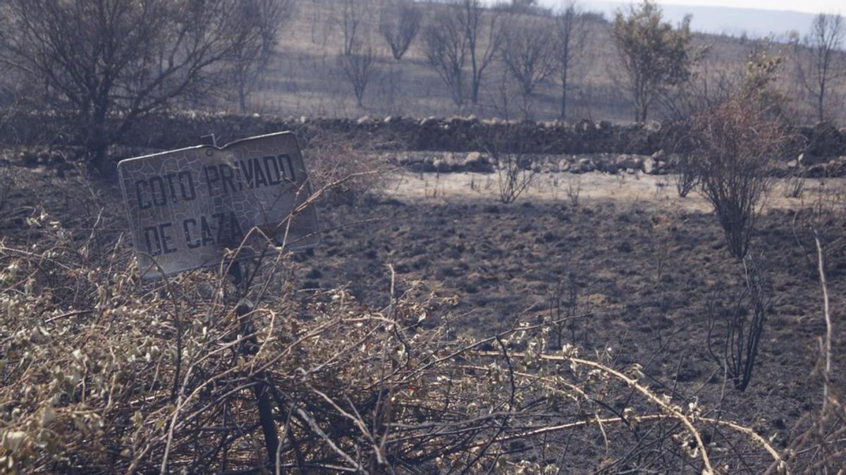 Riofrío de Aliste: un pueblo fundido a negro por segunda vez |