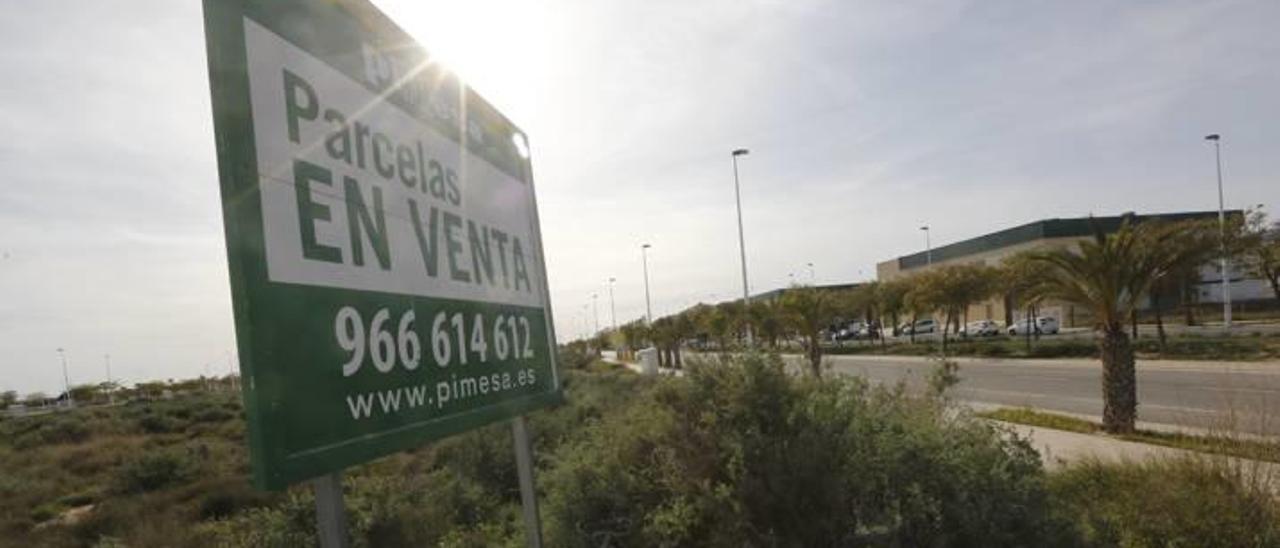 Una de las parcelas en venta en la zona de ampliación de Elche Parque Empresarial.