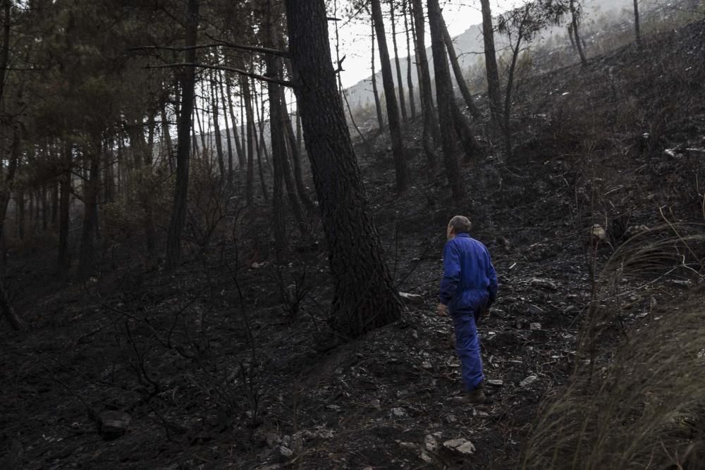 Desolación en el suroccidente asturiano tras los incendios