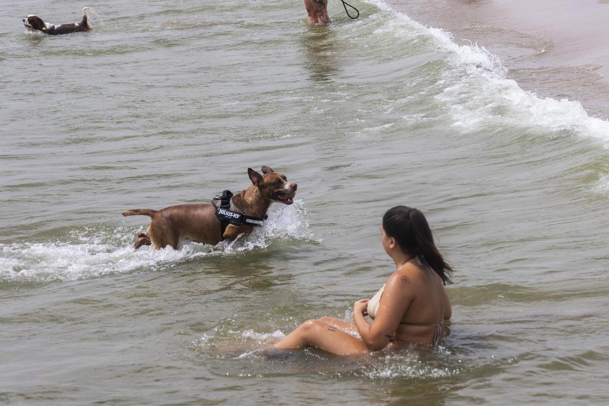 La playa de Perros de Pinedo La playa de Perros de Pinedo