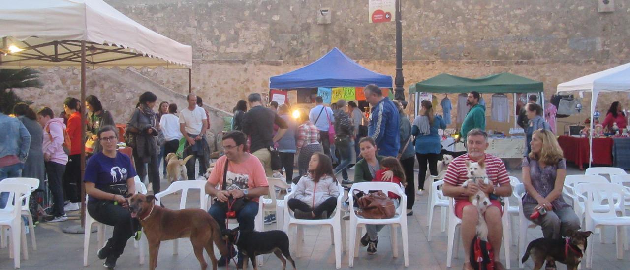 La SPAB en una jornada animalista celebrada en la plaza del Ayuntamiento.