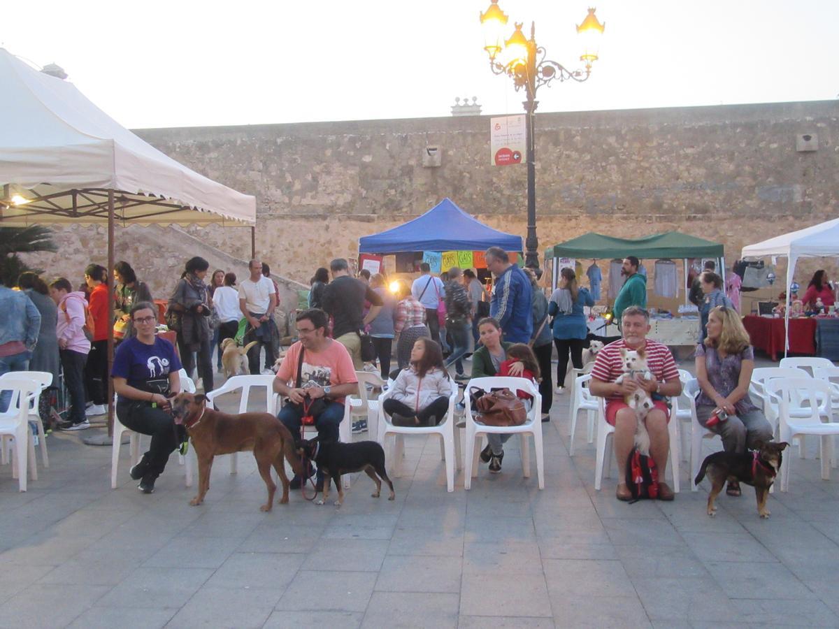 La SPAB en una jornada animalista celebrada en la plaza del Ayuntamiento.