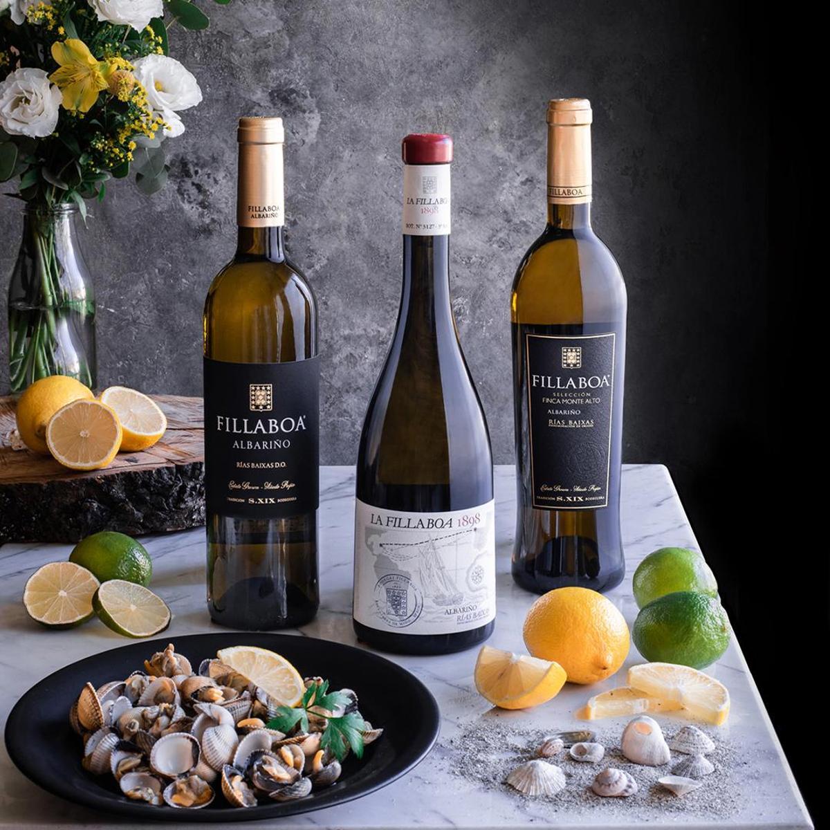 Vinos Fillaboa