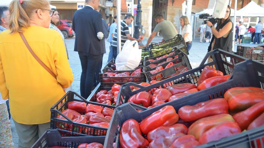 GALERÍA | Así ha transcurrido la XXIX Feria del Pimiento y Productos de la Tierra de Benavente