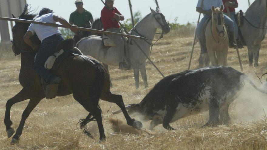 Arcenillas recupera la tradición taurina