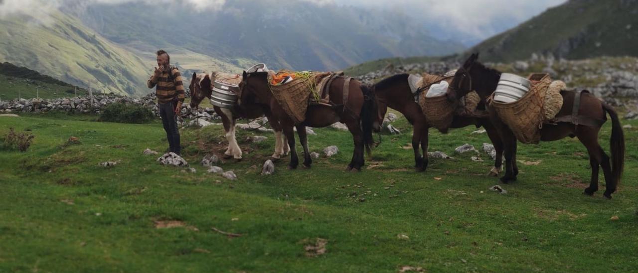 David Matos «Gummo», subieron alimentos y enseres al refugio con la ayuda de varios caballos.