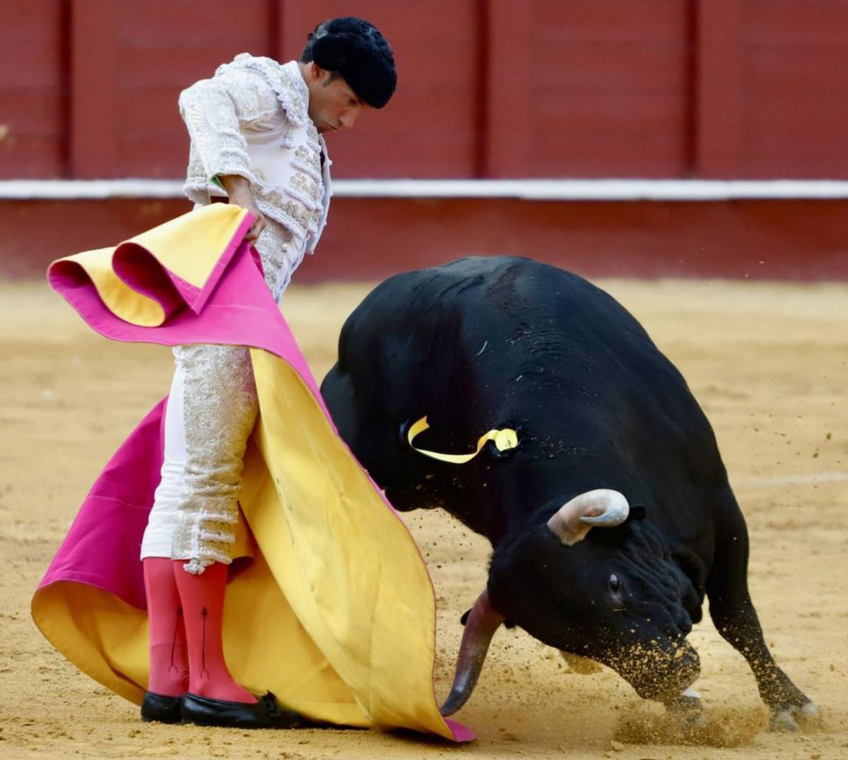 Espectacular imagen de Escribano ayer en La Malagueta. | ÁLEX ZEA