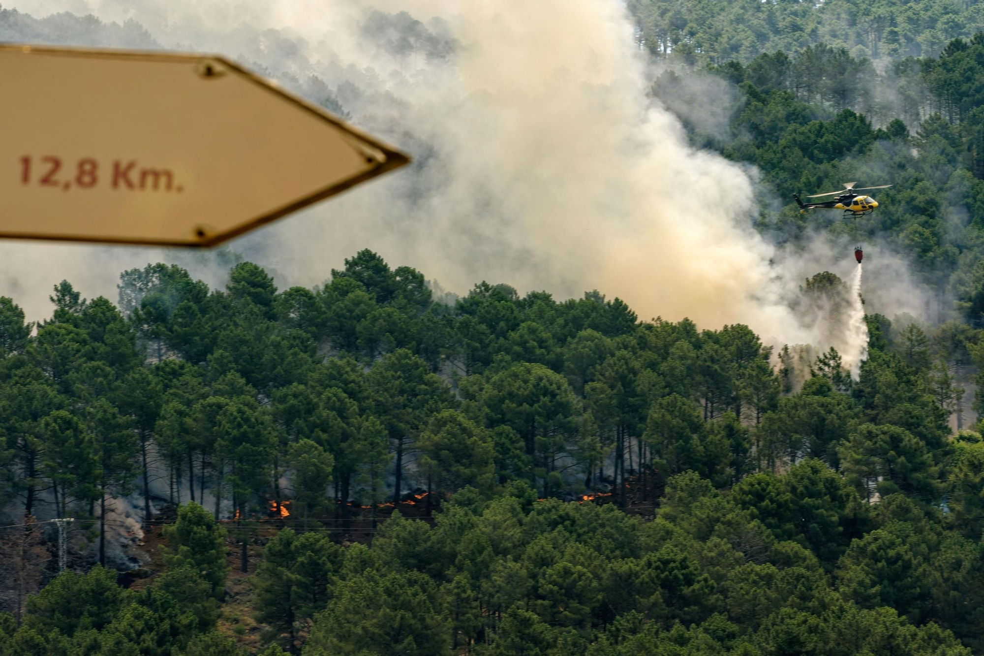 Ligera mejoría en el incendio de Ávila y en breve se levantarán los confinamientos