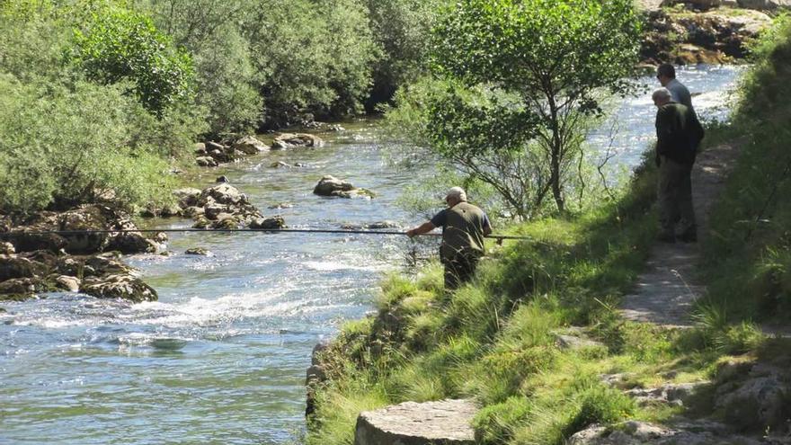 Tres pescadores, ayer, en el coto Niserias, en el río Cares.