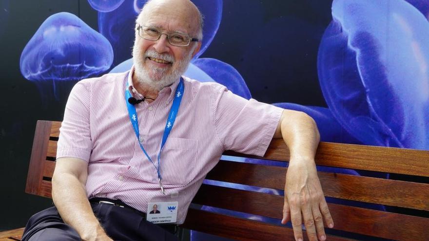 El profesor Manuel Toharia destaca el valor de las medusas en la gastronomía
