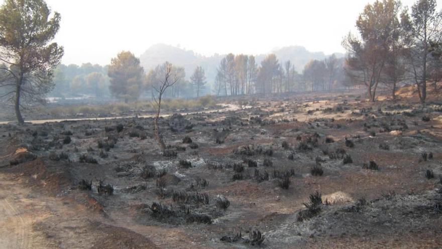 Los incendios causaron daños por valor de 8,6 millones.