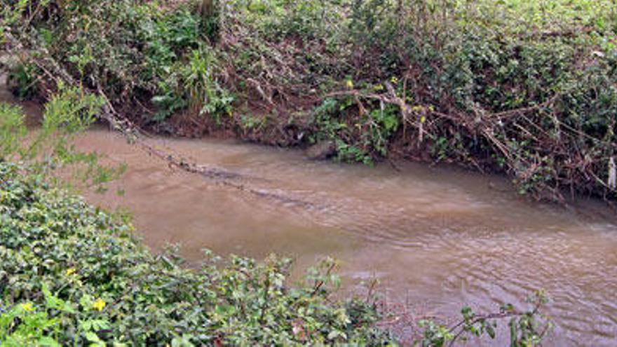 Estado del Lagares tras el vertido que causó la muerte de miles de peces y anfibios // MARTA G. BREA