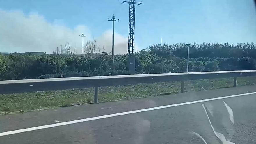 Arde una zona de cañas y vegetación junto al río Albaida en Castelló