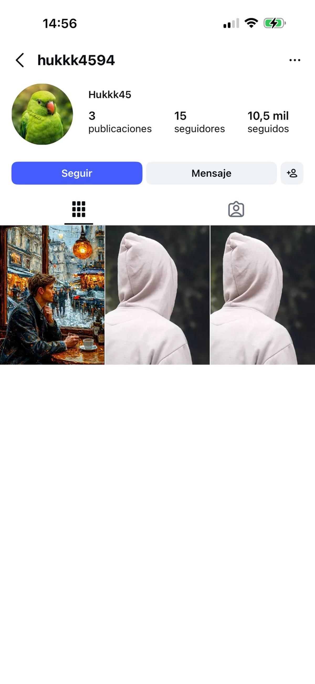 Una de las cuentas falsas.
